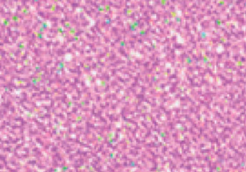 Glitter HTV- Heat Transfer Vinyl