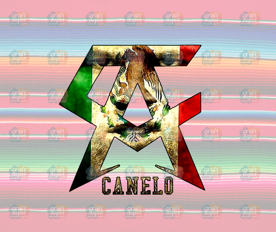 DTF PRINT-Canelo3