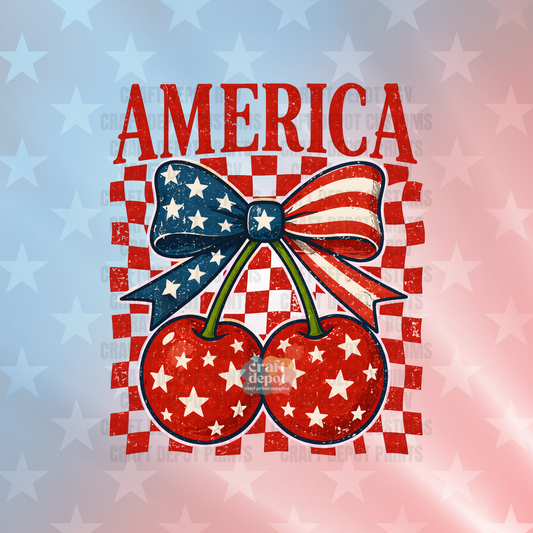 DTF PRINT-Patriotic- American-Veterans-43